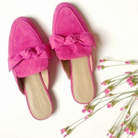 Ann Taylor Shoes - ANN TAYLOR Suede Bow Marisela Loafer Slide NWOT